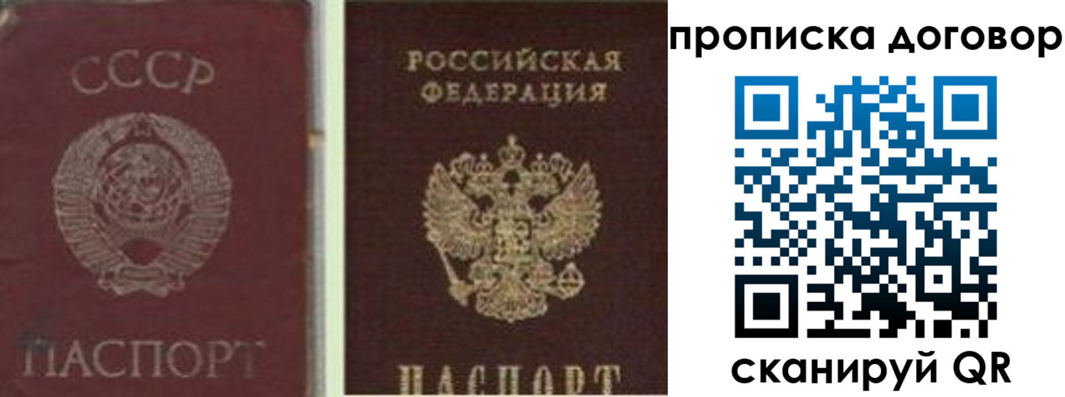 прописка гарантия в Йошкар-Оле